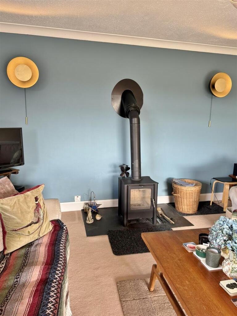 Multi fuel stove