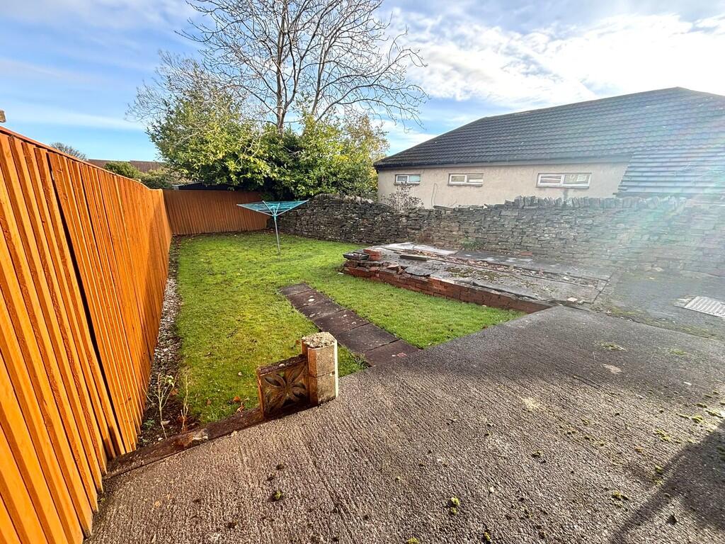 Back garden.