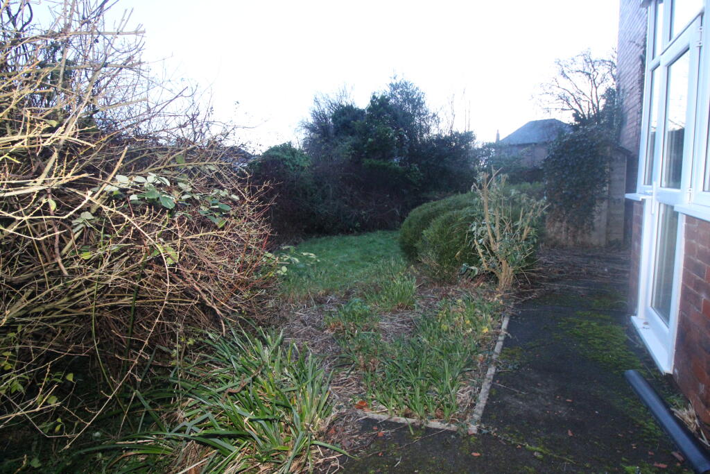 Garden 2 T202512031641.jpg