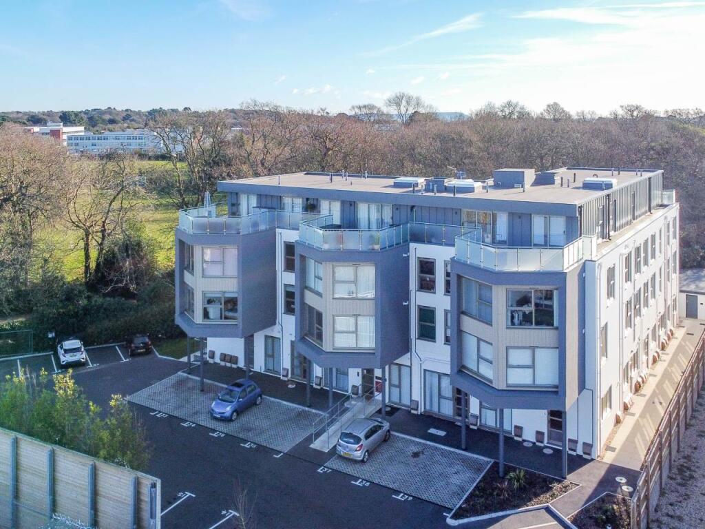 BOWMONT BIRDS EYE VI