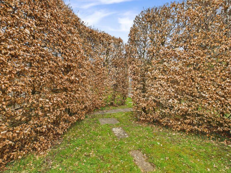 Rear garden