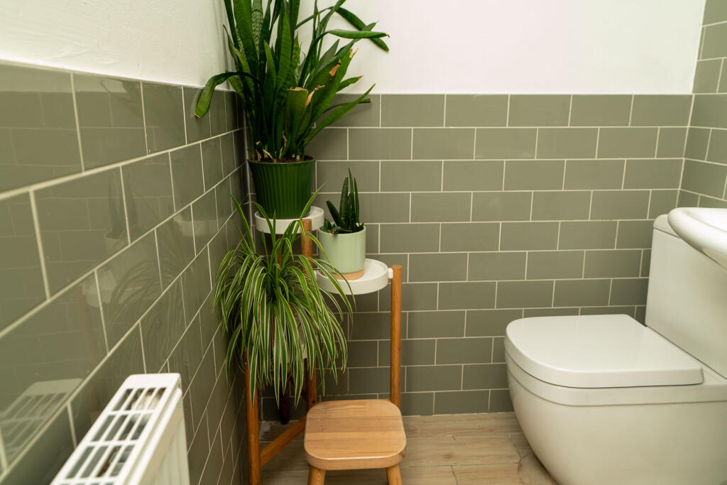 Drummond Terrace, Tynemouth, NE30