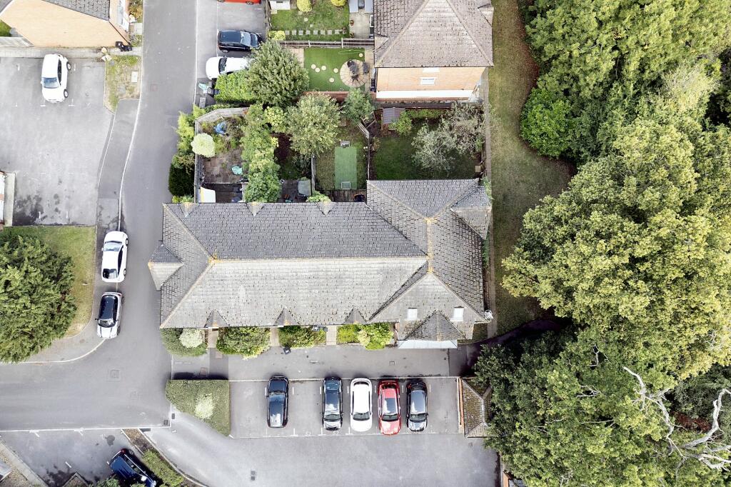 The Property
