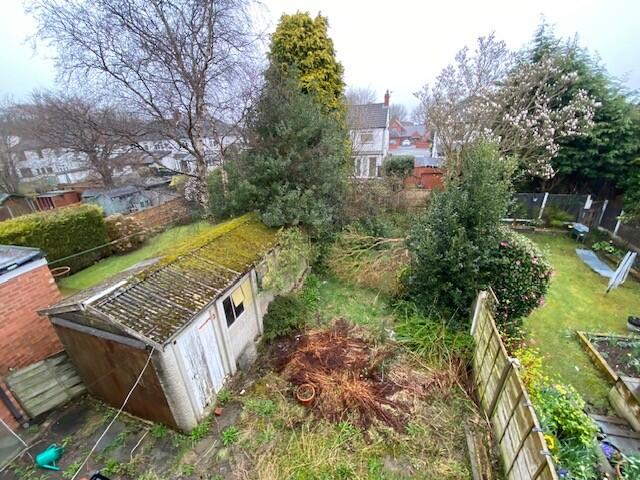 Garden Picture T202505161522.jpg