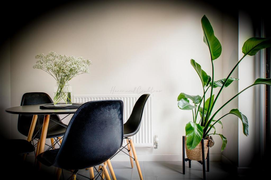 Mortimer Avenue, St Ederyns,  (12).jpg