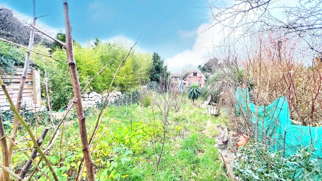 Garden 2