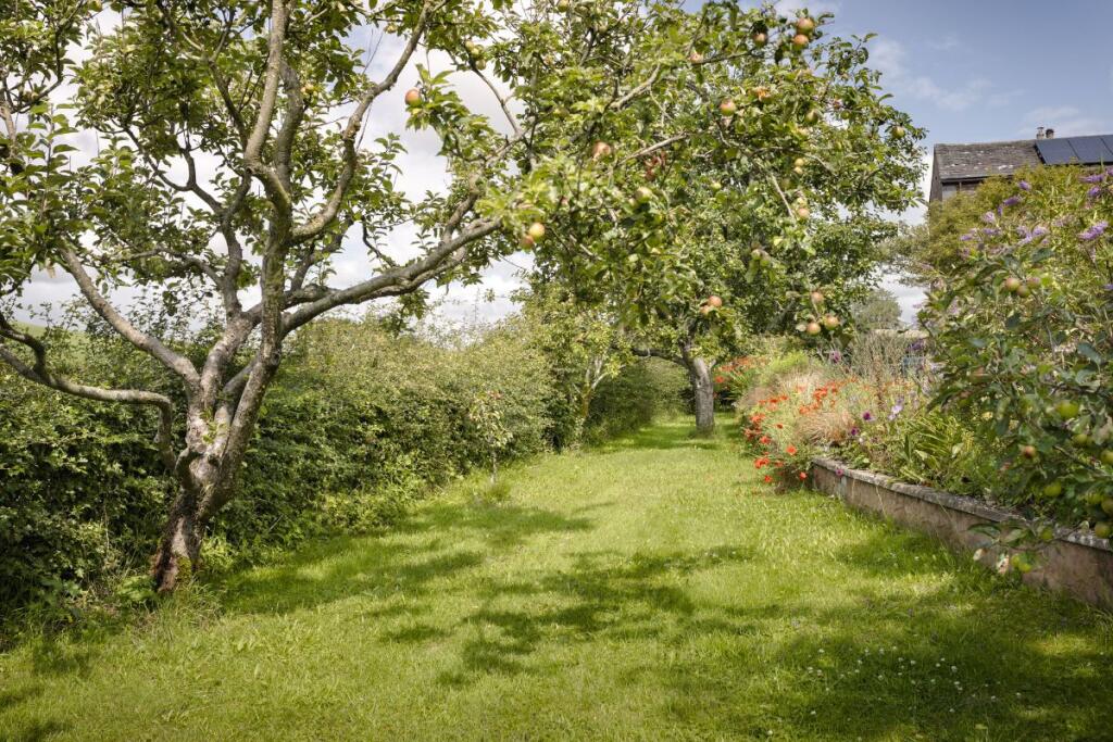 Orchard