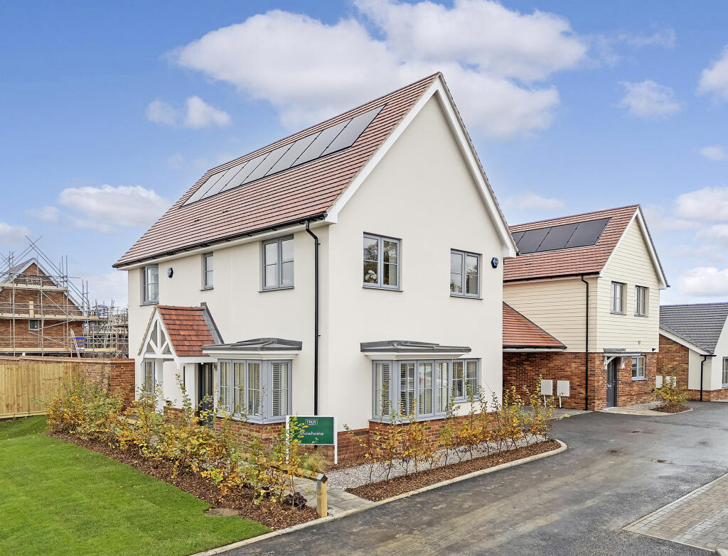 dji_20241029121308_0088_d copy