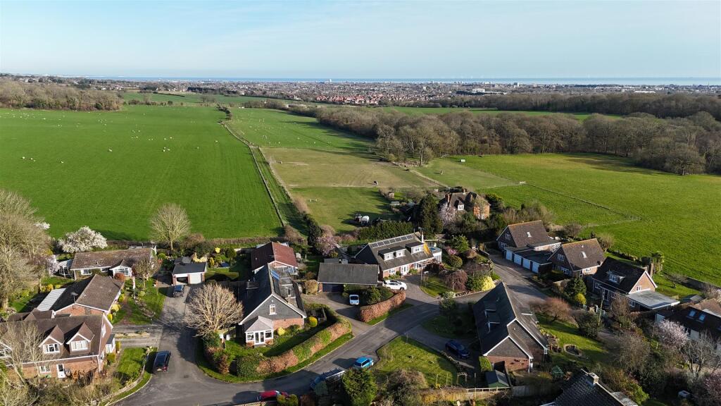 DJI_20250320161201_0023_D.JPG