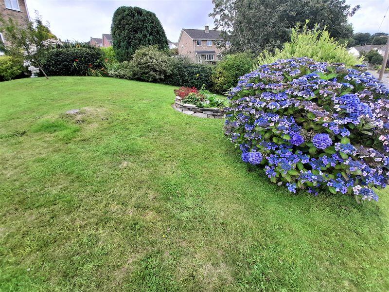 Front Lawn