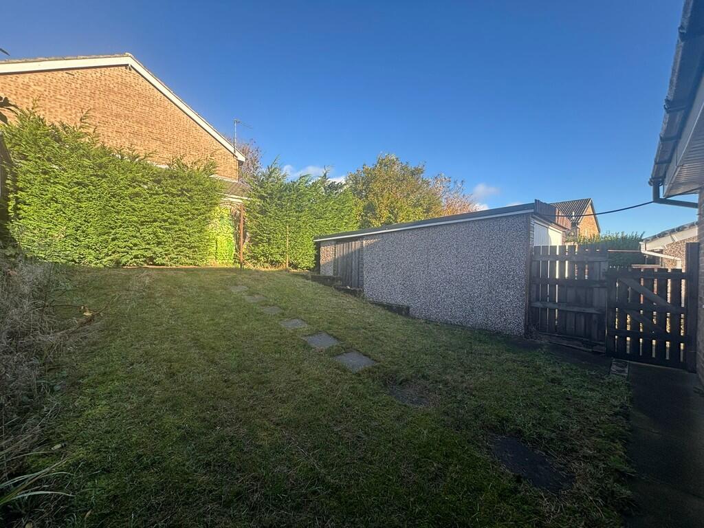 back garden 1
