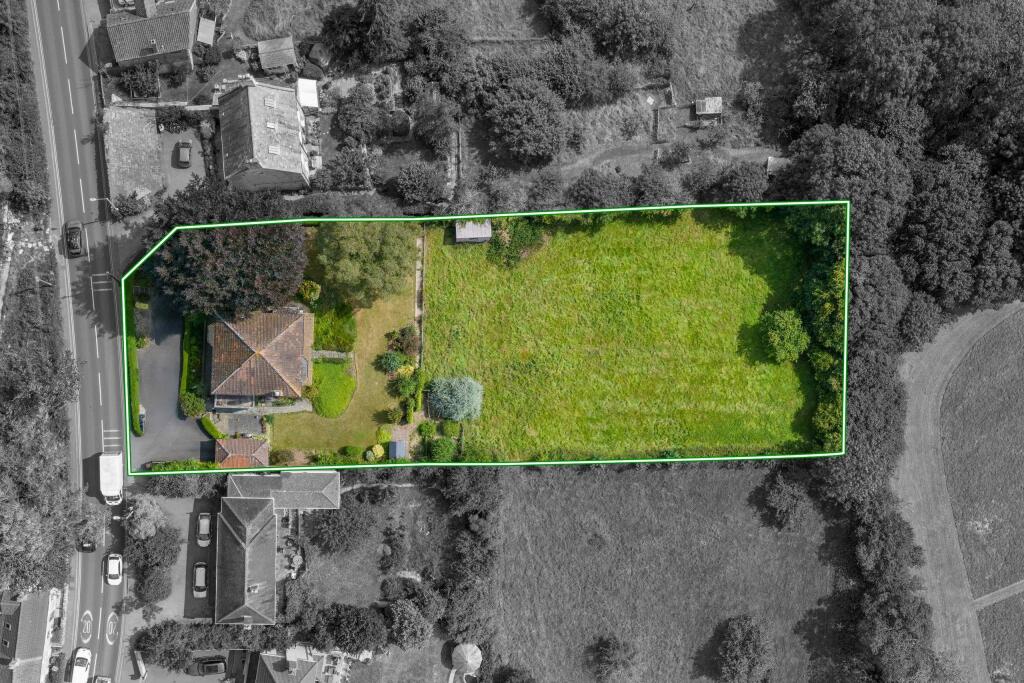 TEK HiRes 240827 010.jpeg