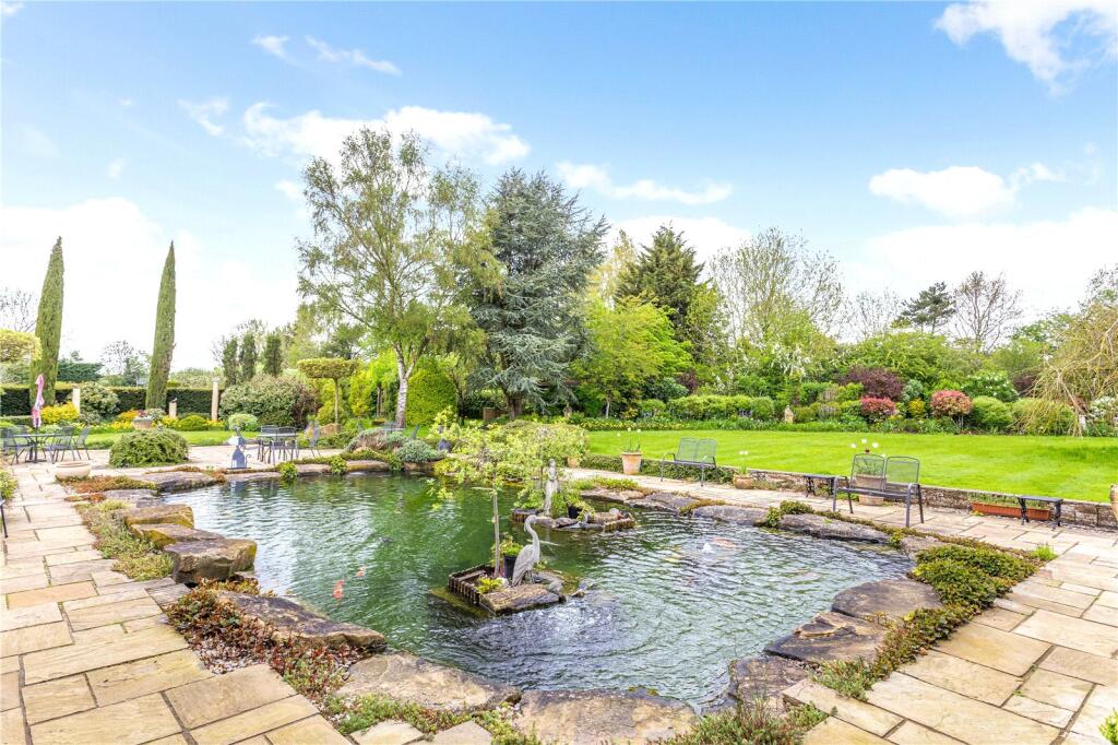 Pond