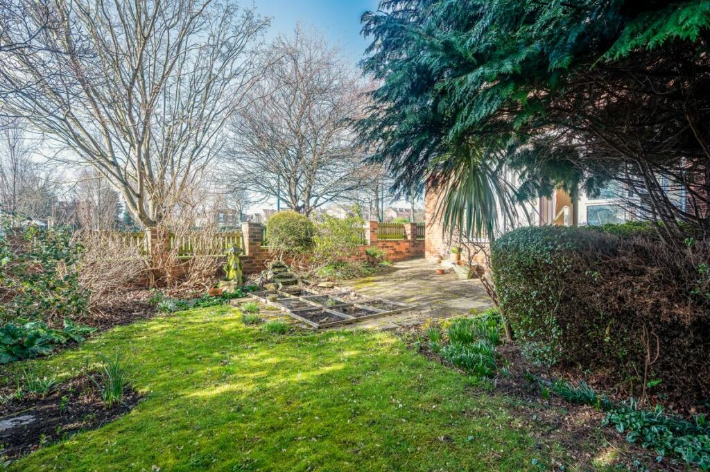 Back Garden 