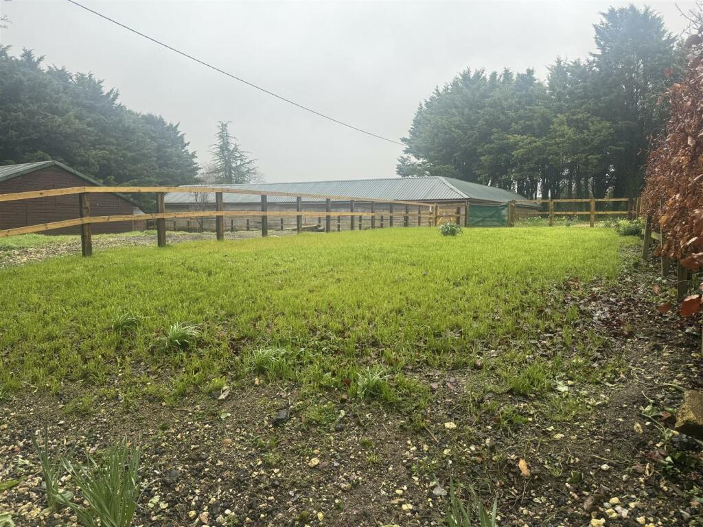 garden.jpg