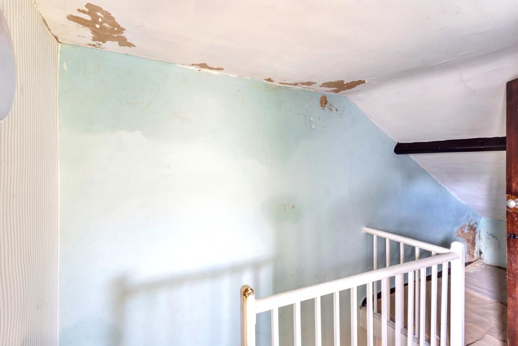 0249168.tBkom T202509121129.jpg