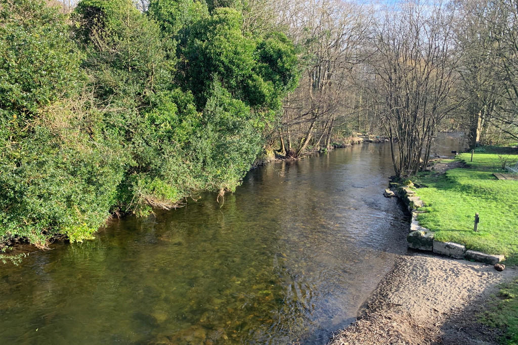 River Crake
