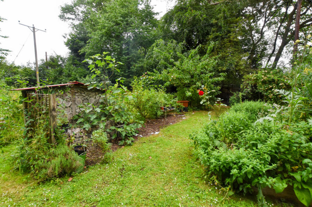 Garden 5