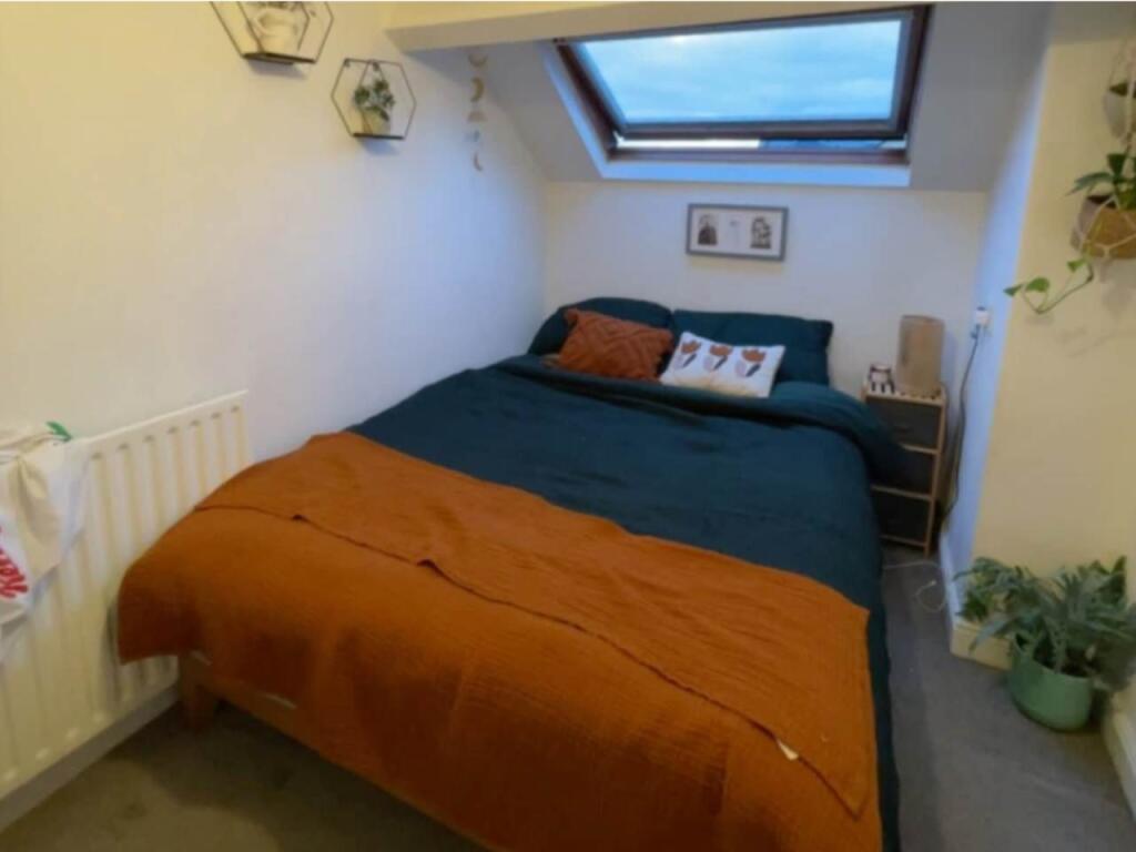 Screenshot 2025-10-1