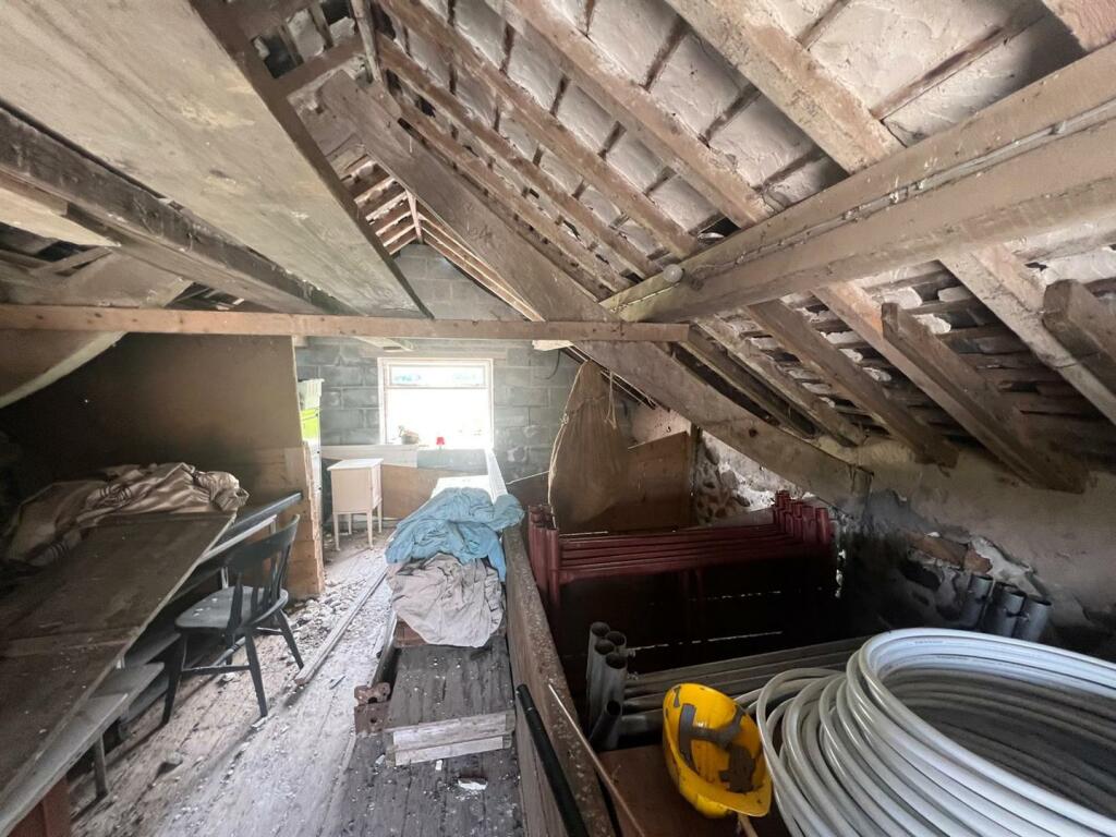 PHOTO-2024-08-12-14-30-43 (3).jpg