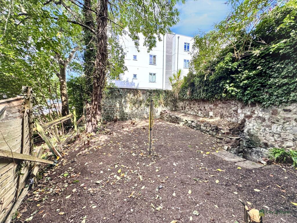 Garden 2 T202508051002.jpg