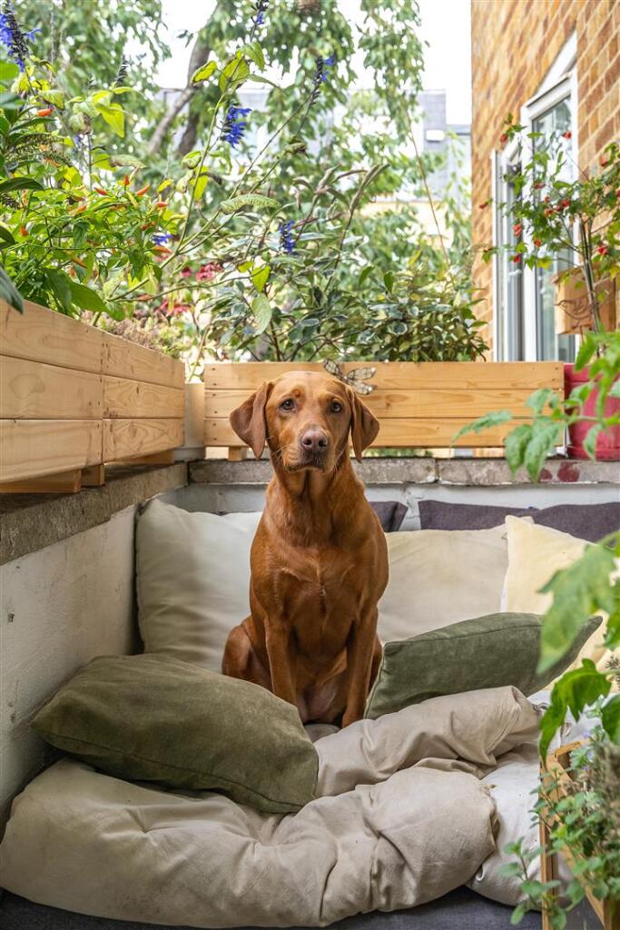 Chatsworth Estate, E5