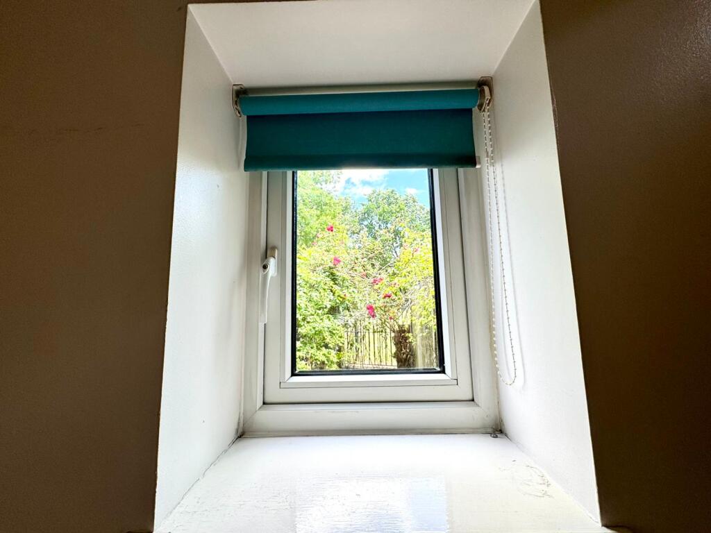Window View