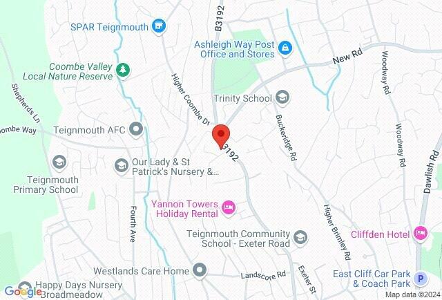 Google Maps Image