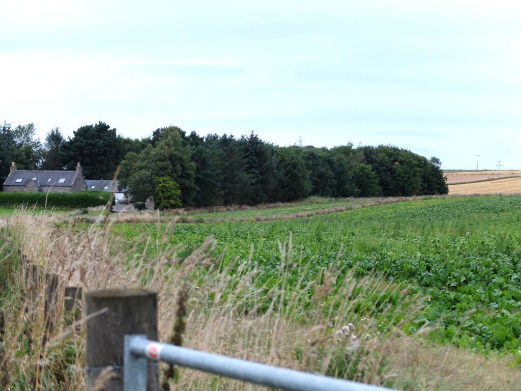 Site