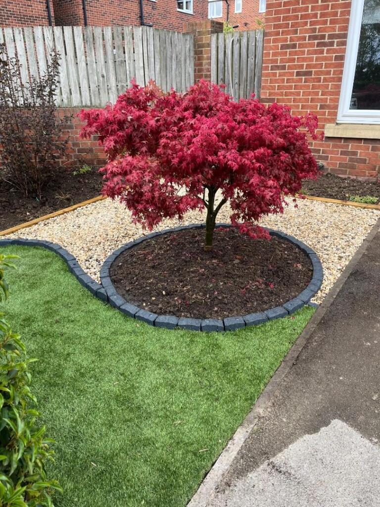 Garden.jpg