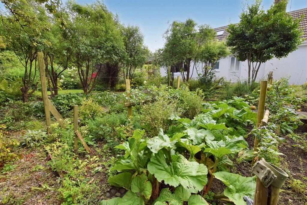 Garden - Vegetable Beds