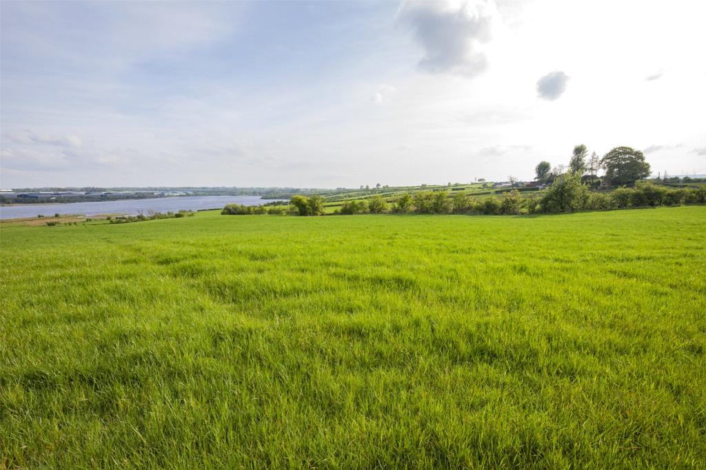 Grazing Land