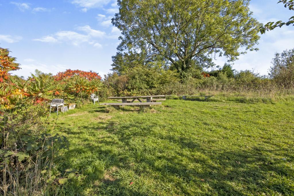 Orchard