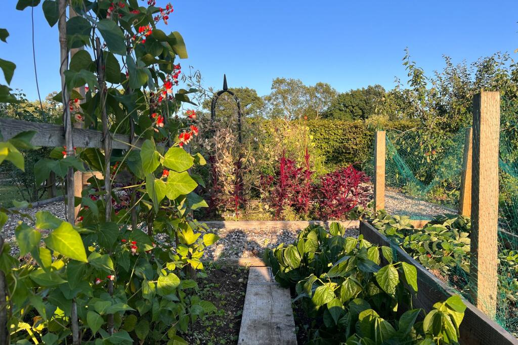Vegetable Garden