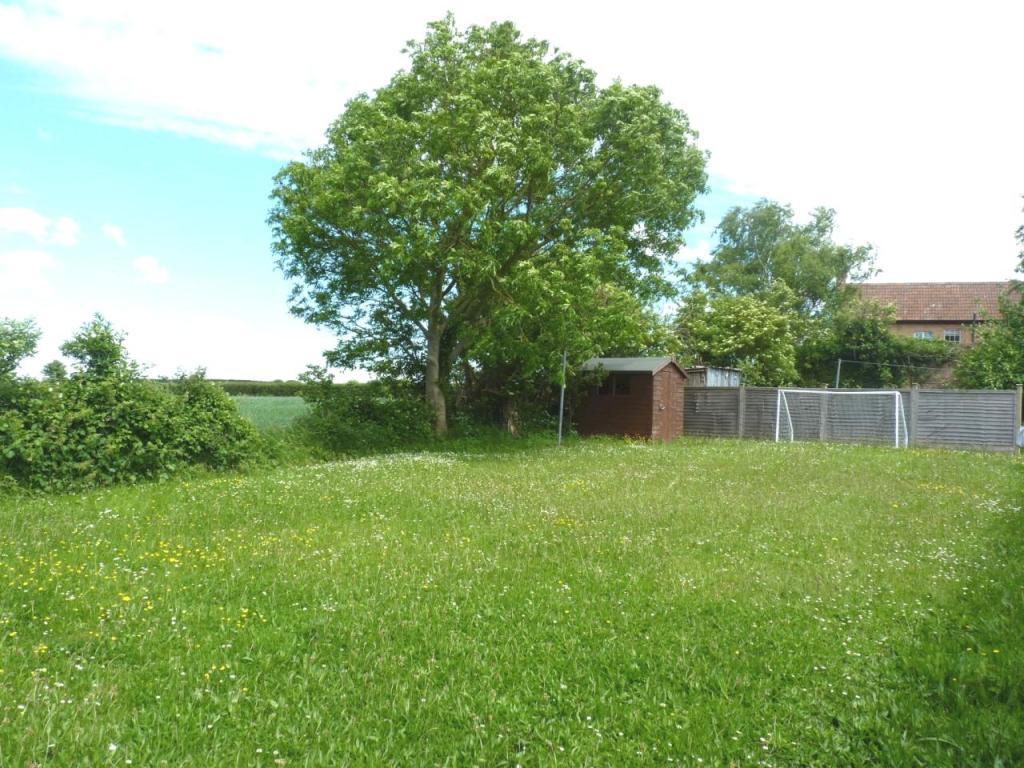 Detached Garden