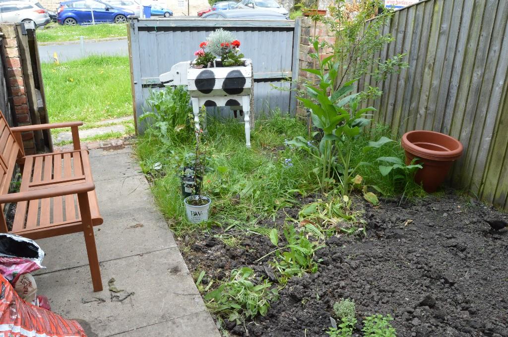 Front garden
