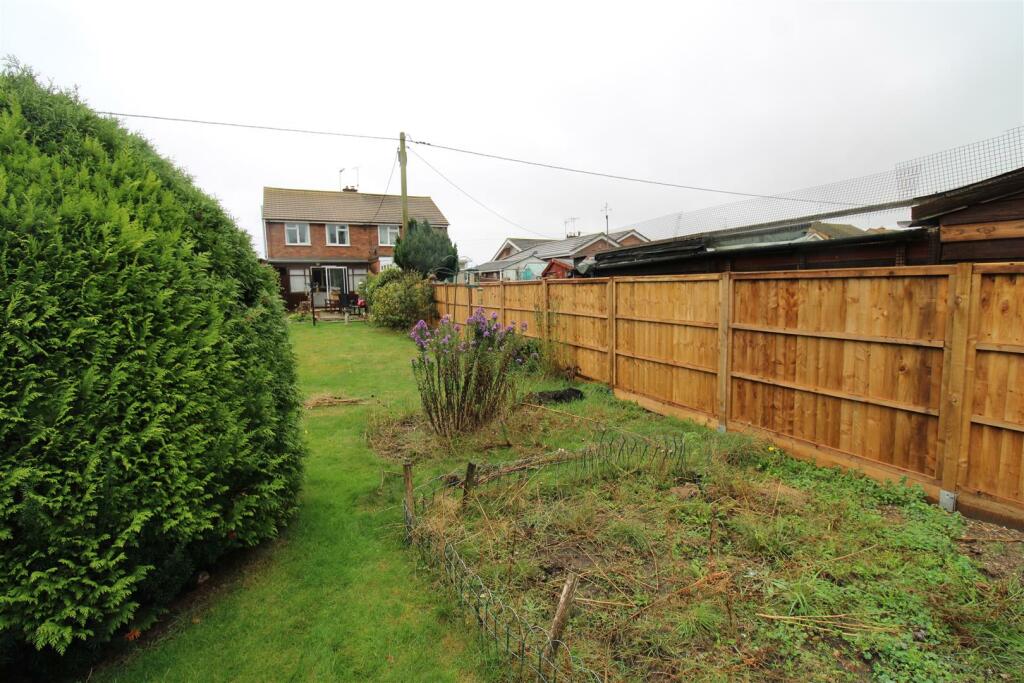 Garden - Back