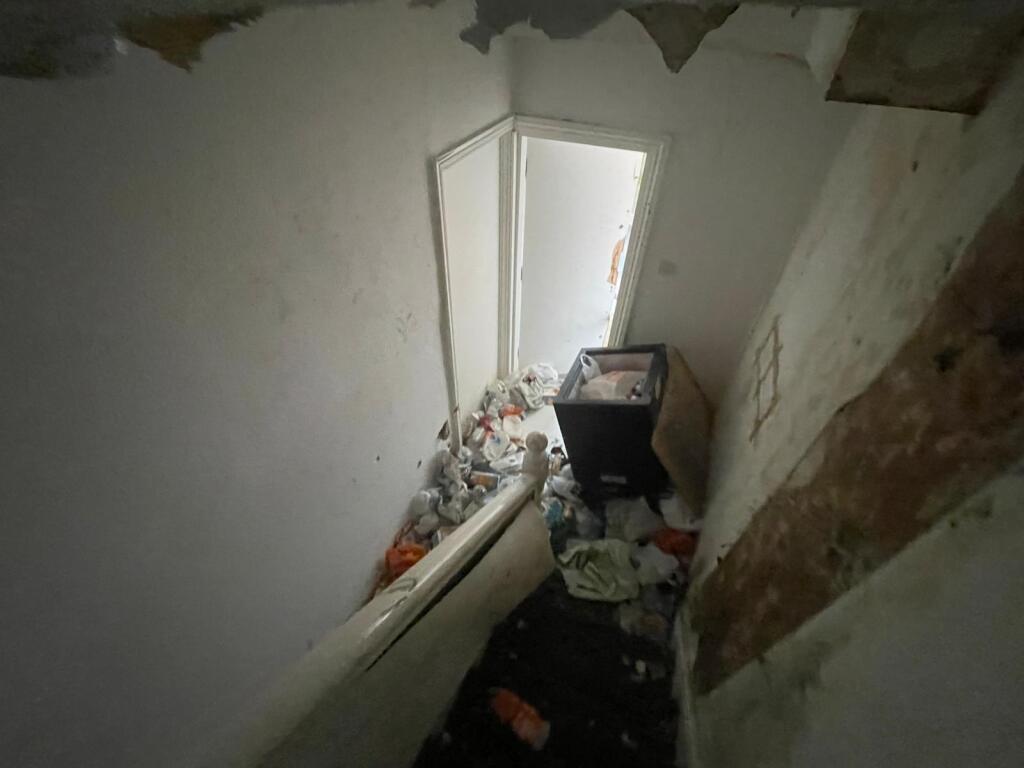 4ddb154f-5d00-4111-a38f-1b6db33e23d0 T202505301347.jpg