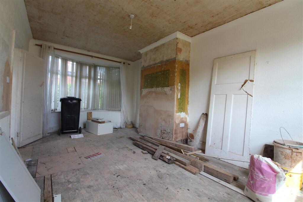 IMG 5310  Medium  T202505231115.jpg