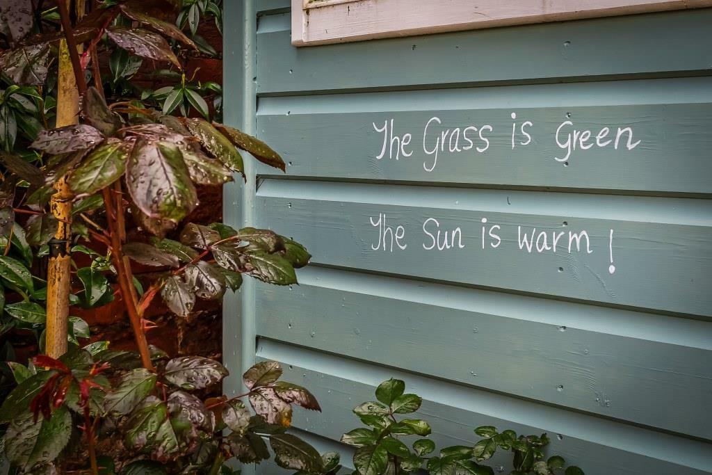 Garden lifestyle.jpg