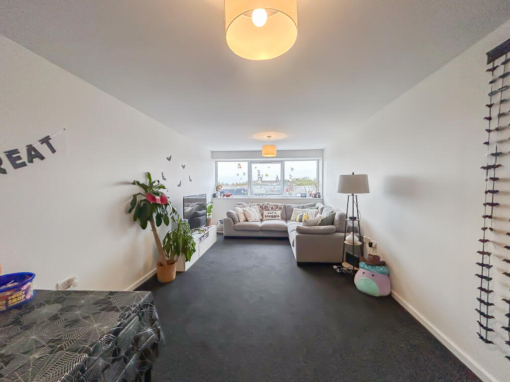 IMG 7131 T202510210947.jpg