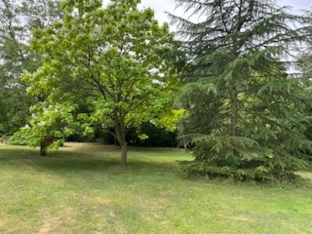 Garden 3