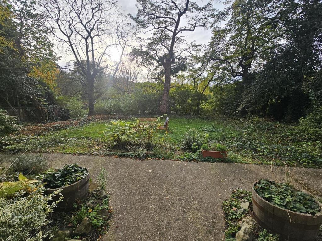 1000052215.jpg
