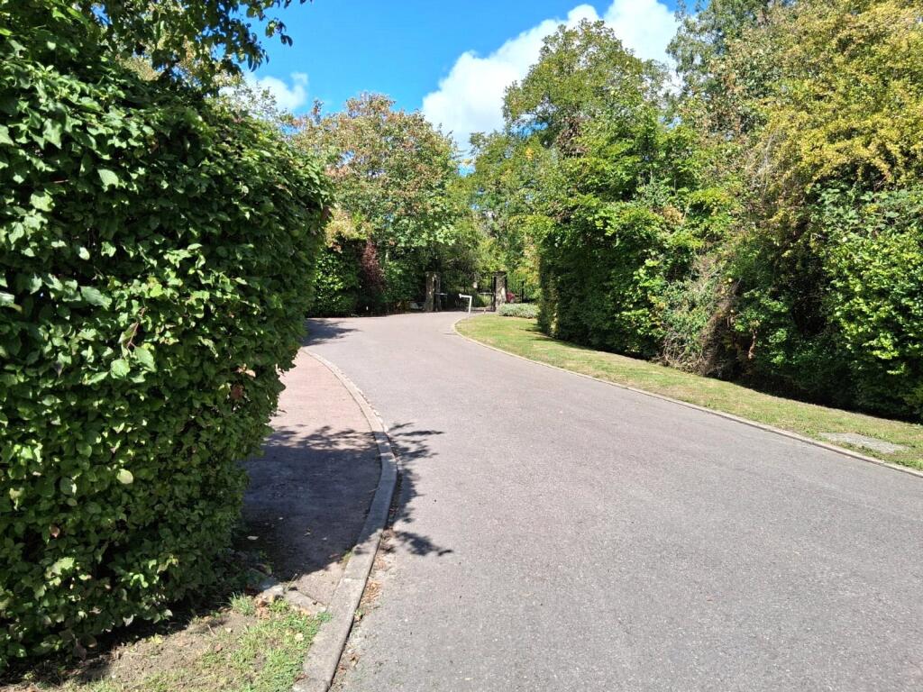 Driveway