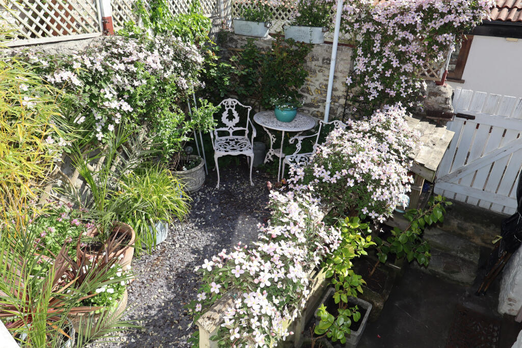 Rear courtyard garden