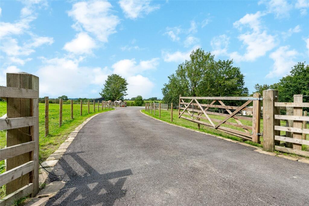 Driveway