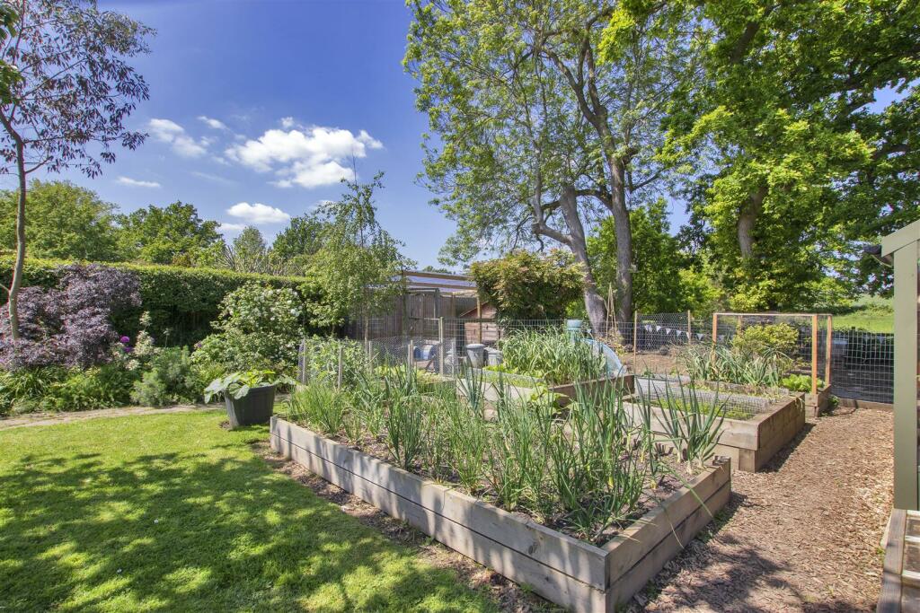 Veg Beds.JPG
