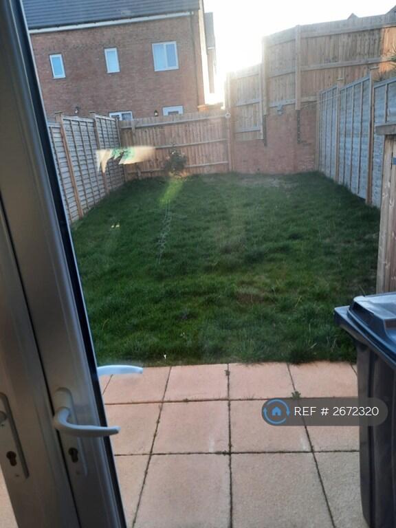 Back Garden