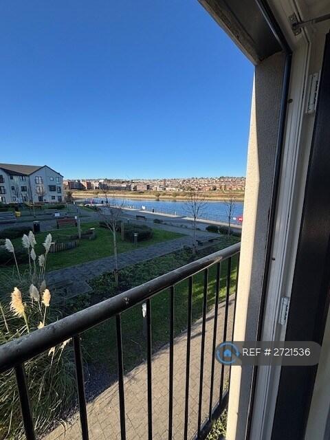 View From Living Room