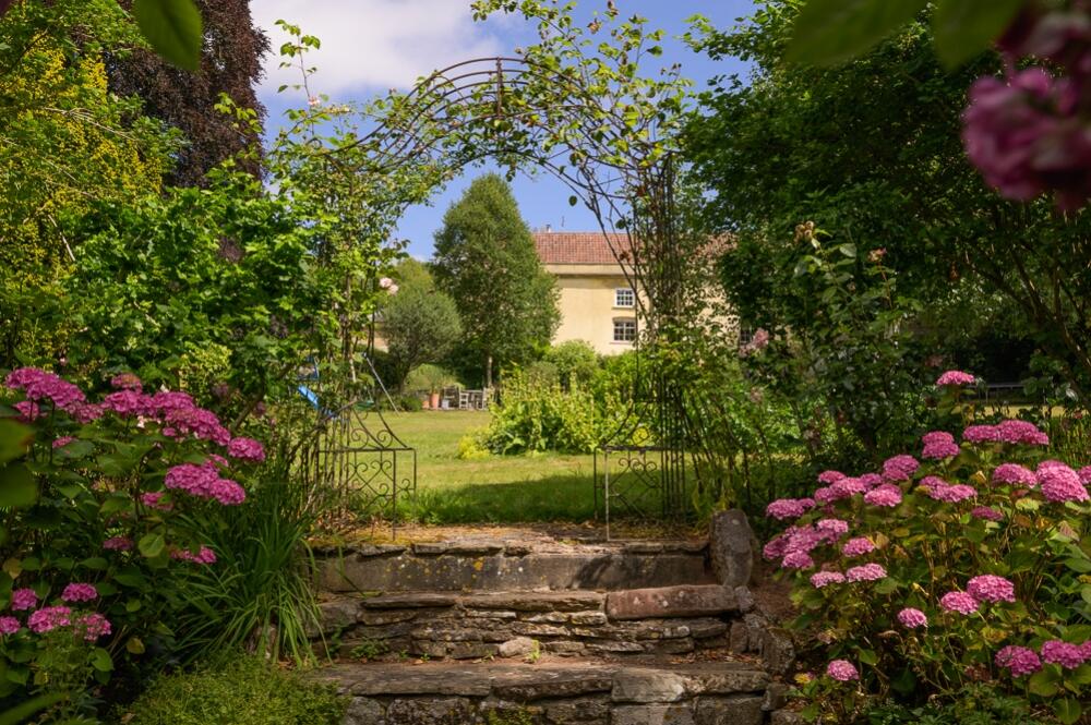 Sunny Garden